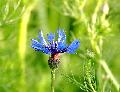[ pilt: 058X   IMG_4084.JPG ]